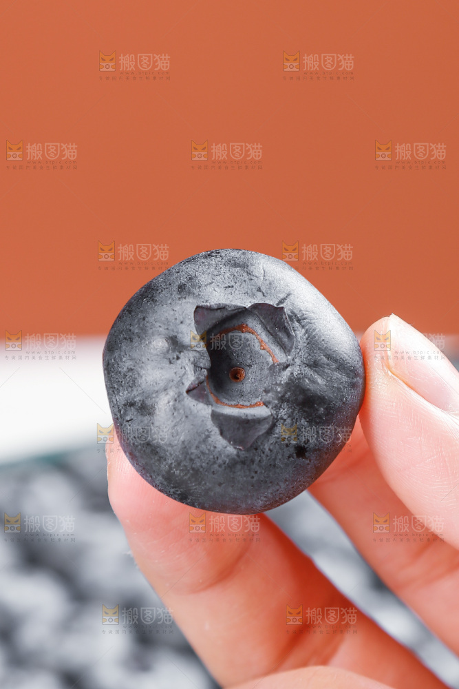 浅底上的新鲜蓝莓