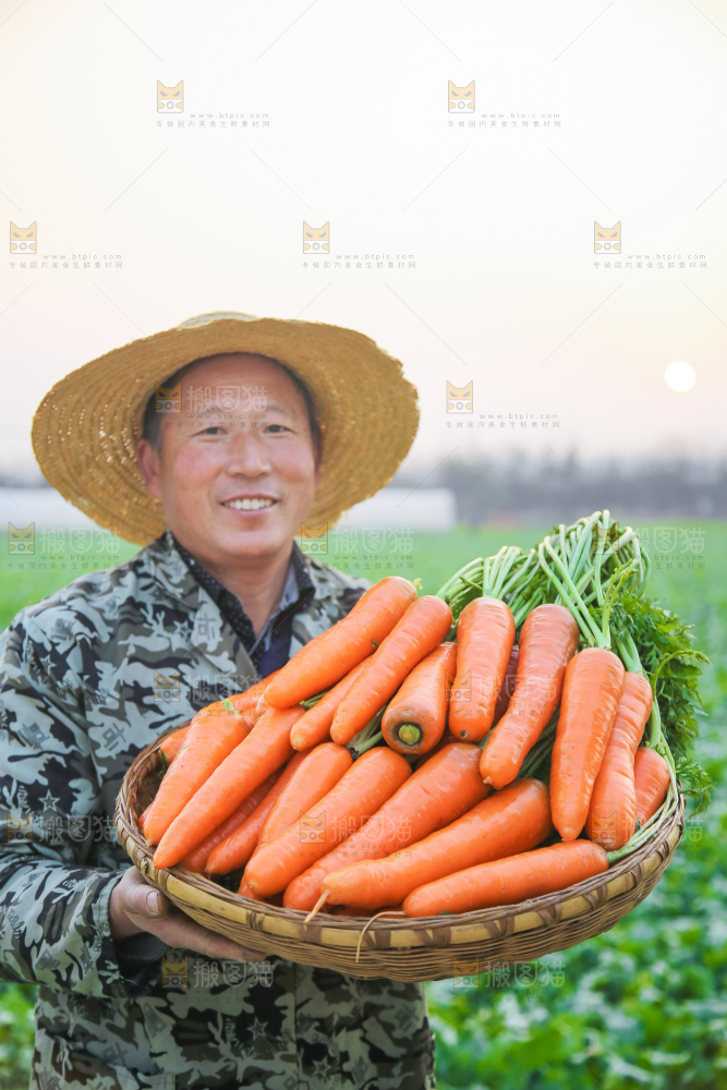 手里拿着胡萝卜