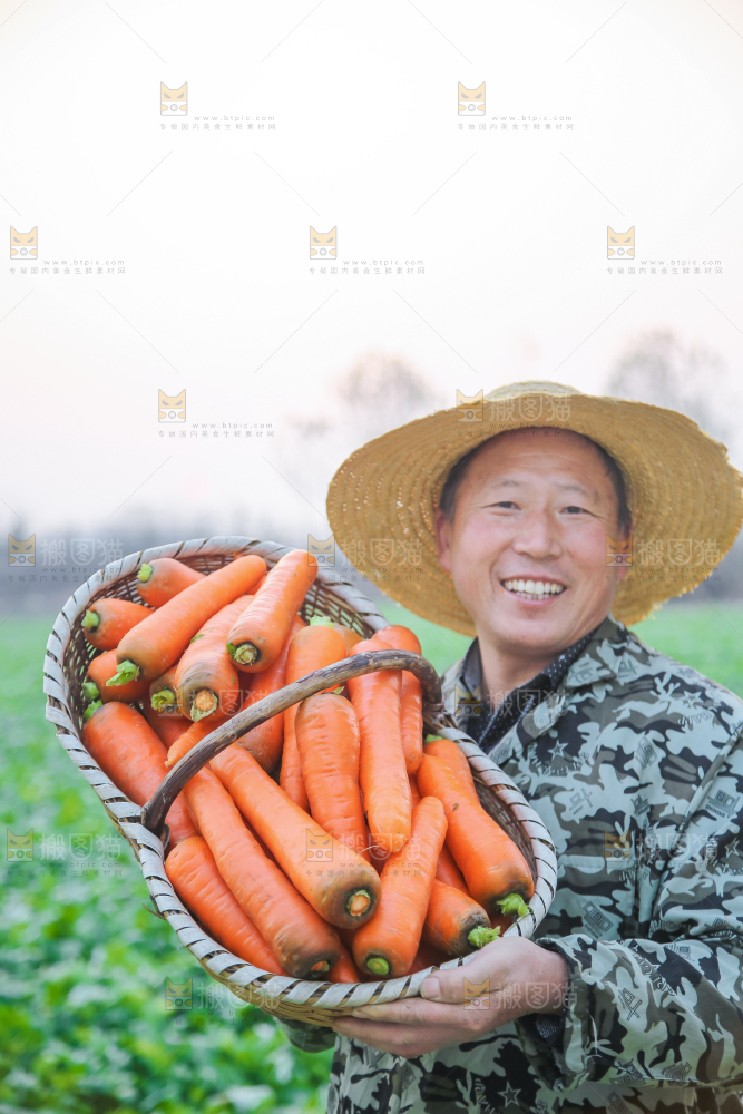 手里拿着胡萝卜