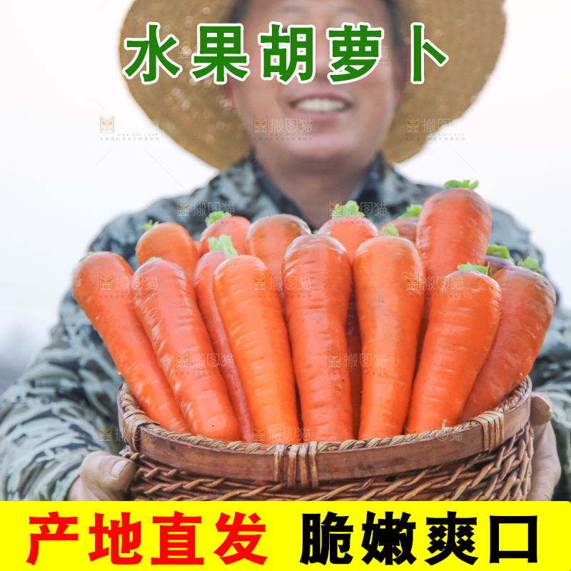 手里拿着胡萝卜