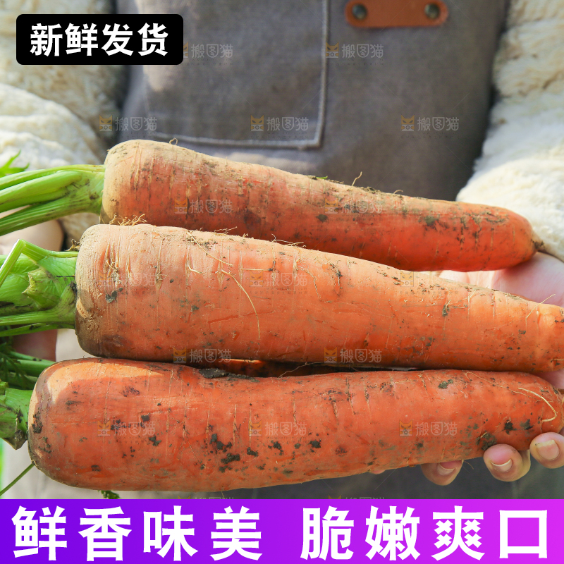 手里拿着胡萝卜