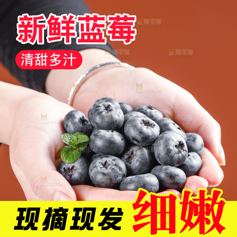 浅底上的新鲜蓝莓