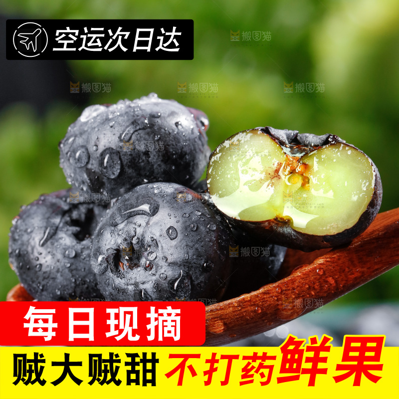 浅底上的新鲜蓝莓