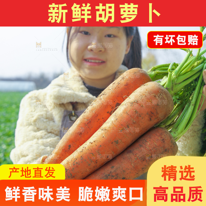 手里拿着胡萝卜