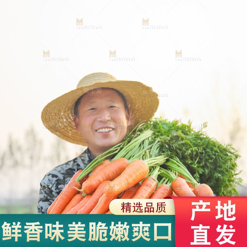 手里拿着胡萝卜