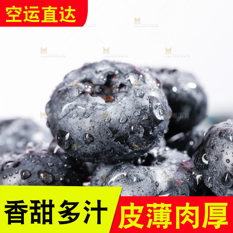 浅底上的新鲜蓝莓