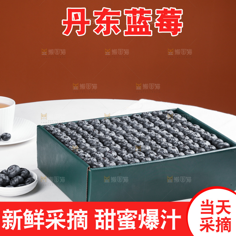 浅底上的新鲜蓝莓