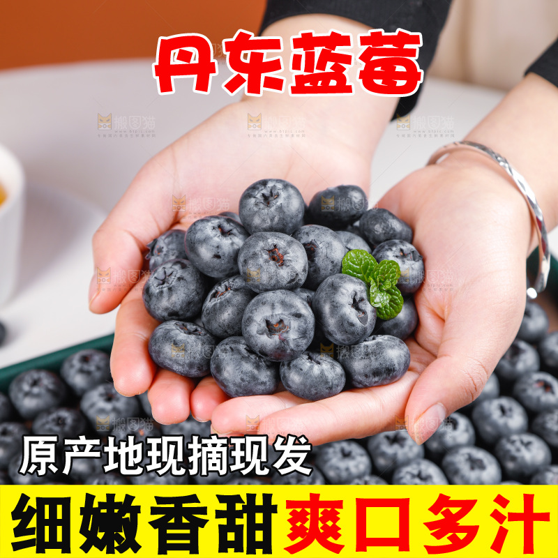 浅底上的新鲜蓝莓