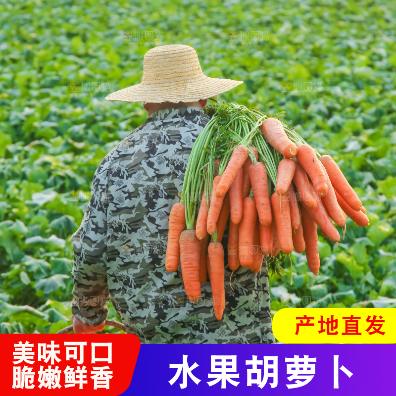 手里拿着胡萝卜