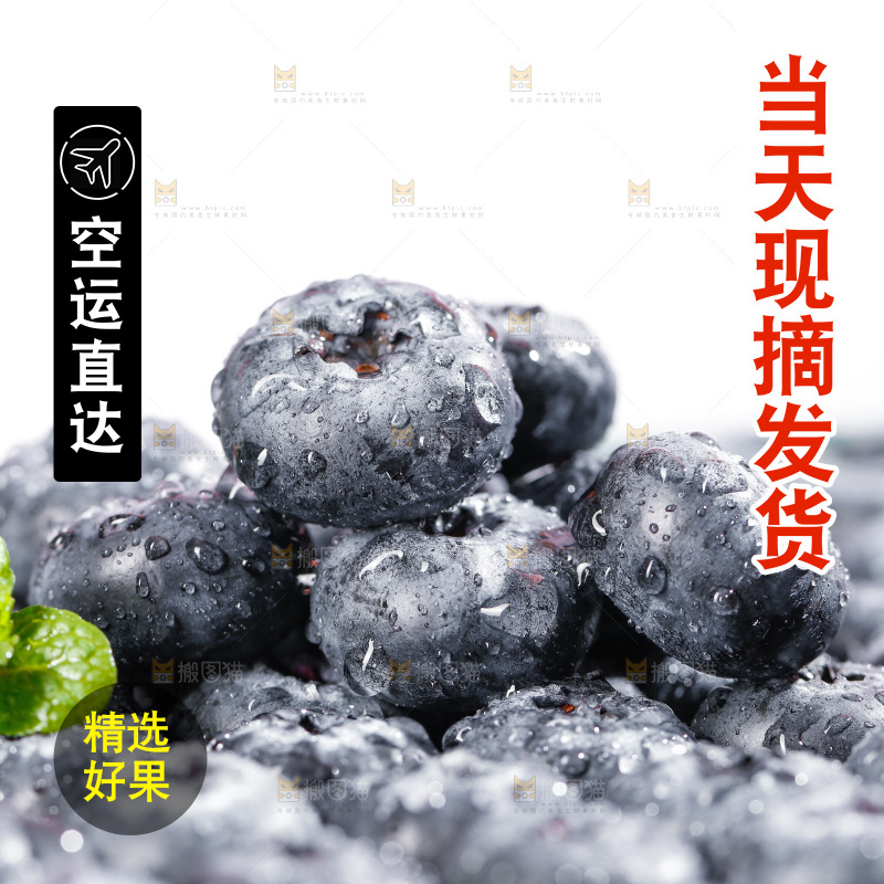 浅底上的新鲜蓝莓
