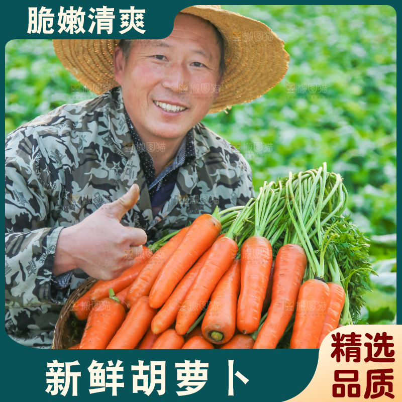 手里拿着胡萝卜