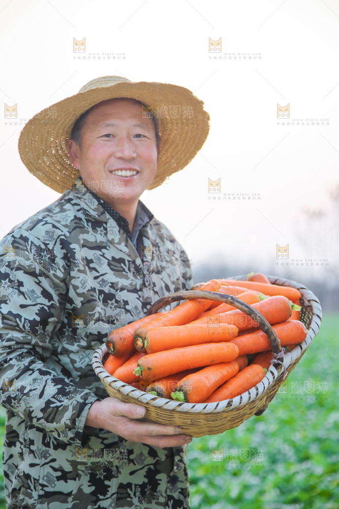 手里拿着胡萝卜