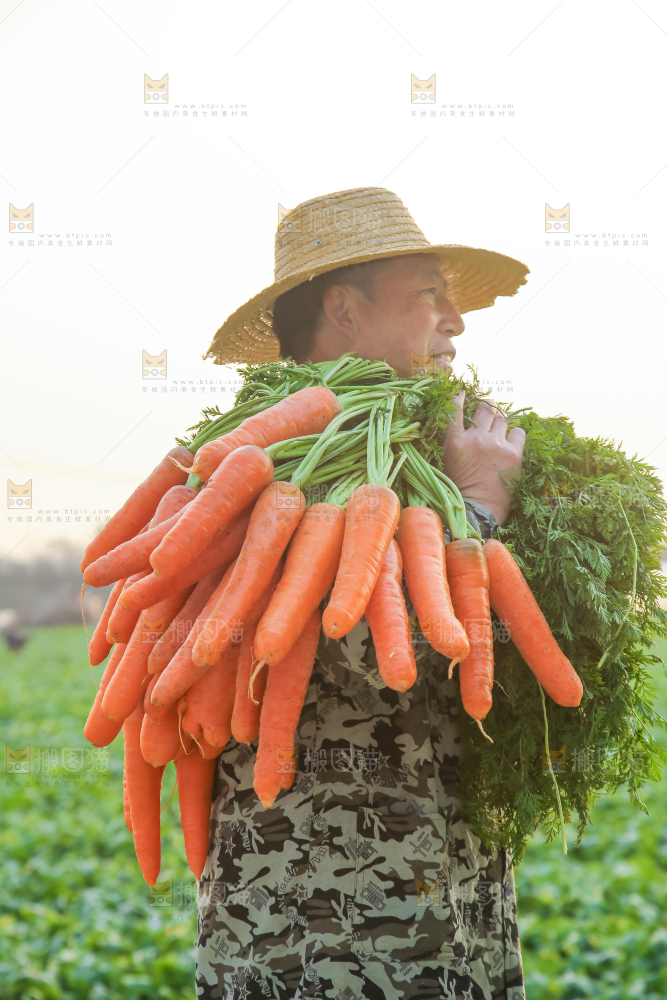 手里拿着胡萝卜