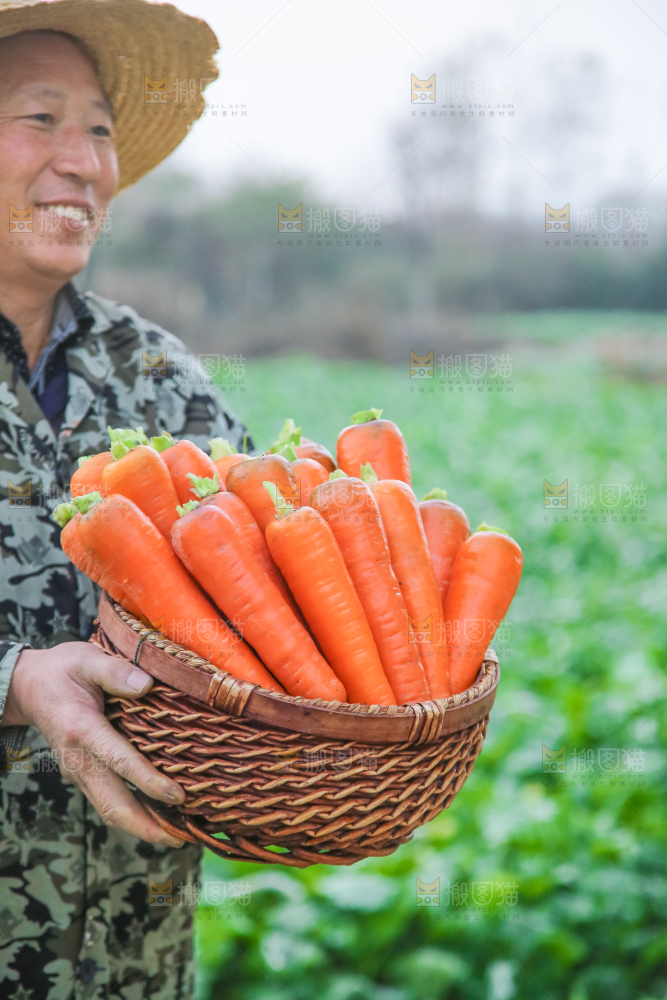 手里拿着胡萝卜