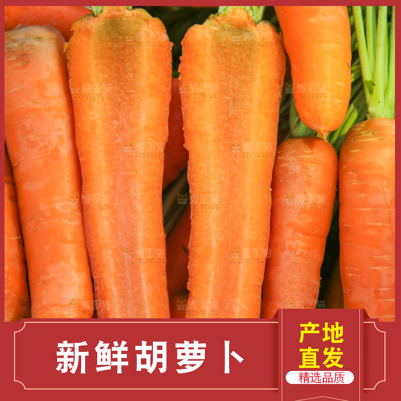 手里拿着胡萝卜