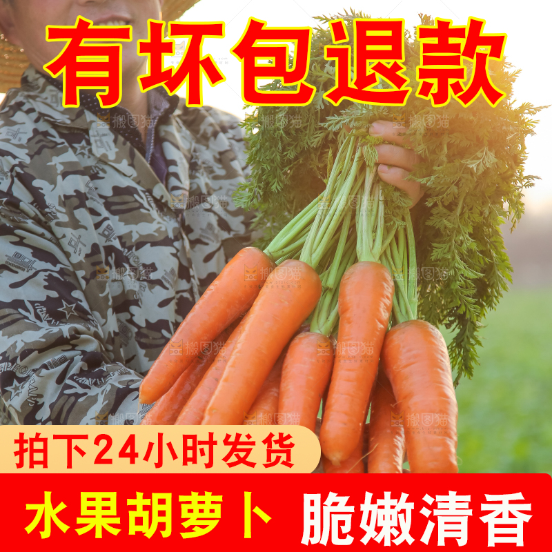 手里拿着胡萝卜
