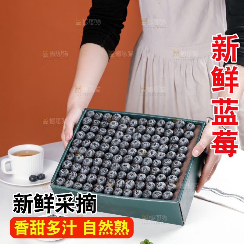浅底上的新鲜蓝莓
