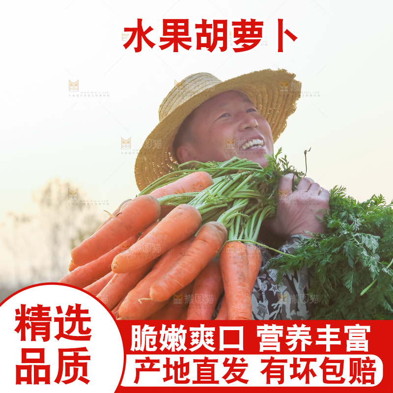 手里拿着胡萝卜