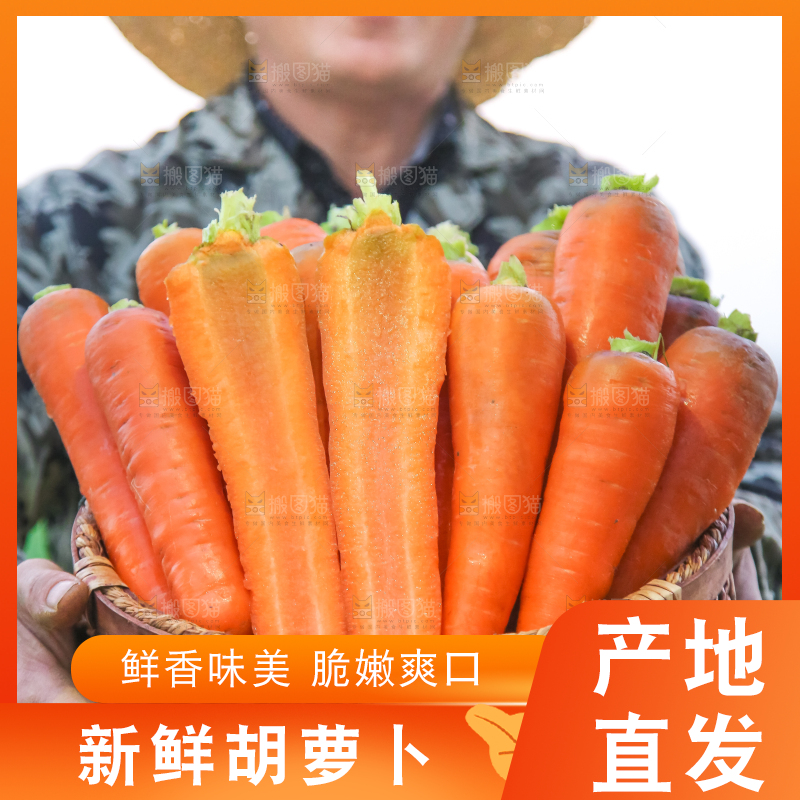 手里拿着胡萝卜