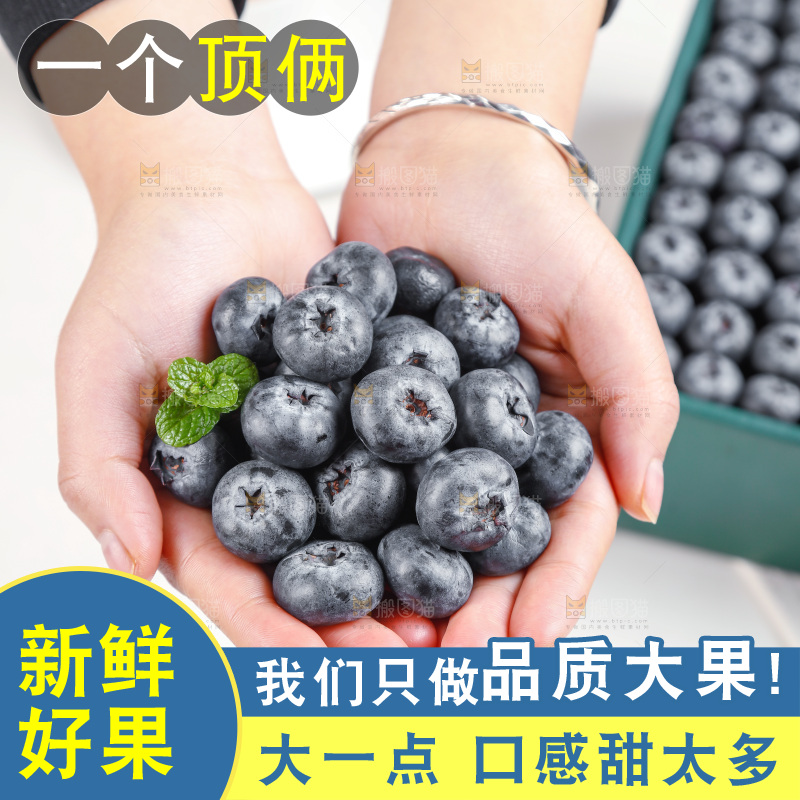 浅底上的新鲜蓝莓