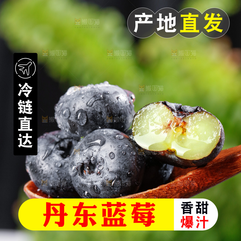 浅底上的新鲜蓝莓