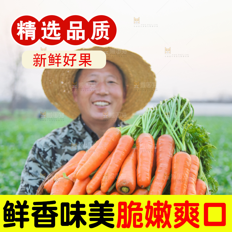 手里拿着胡萝卜