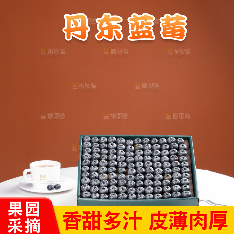 浅底上的新鲜蓝莓