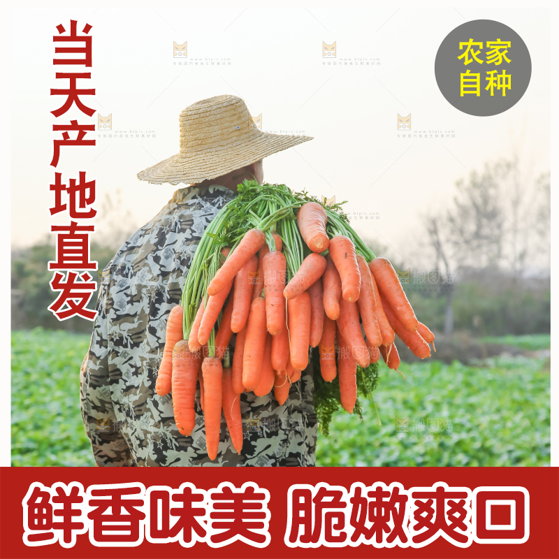 手里拿着胡萝卜