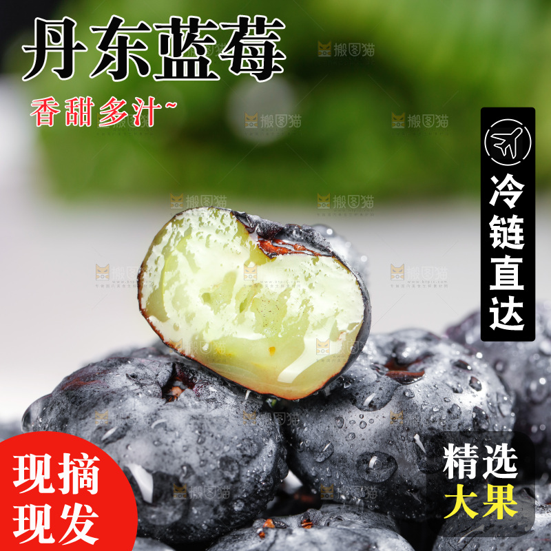 浅底上的新鲜蓝莓
