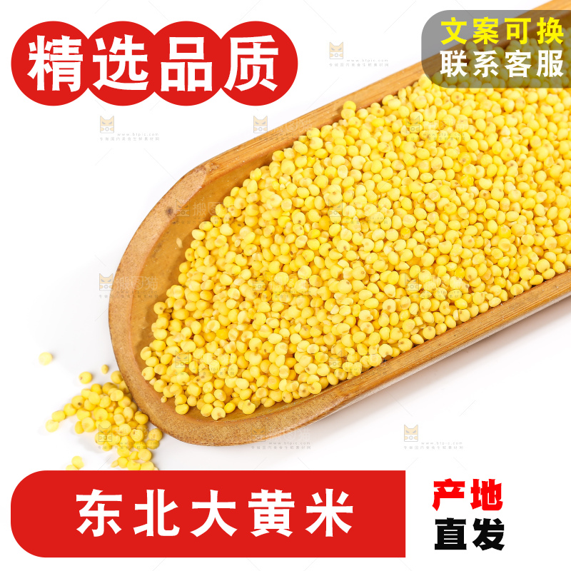 白底上的大黄米