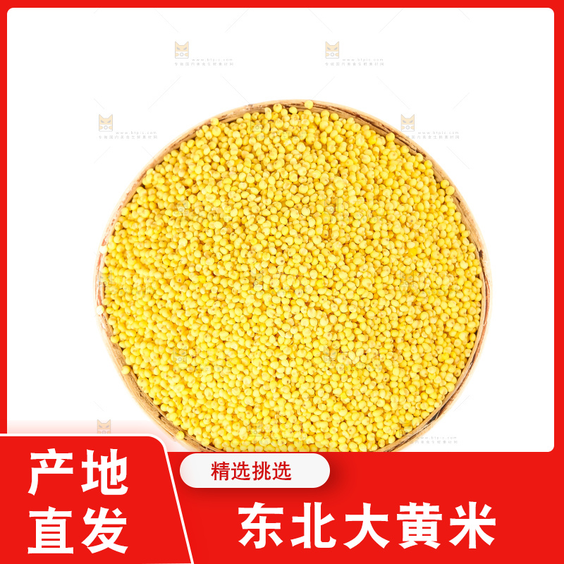 白底上的大黄米