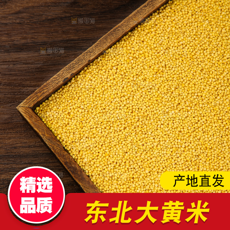 深底上的大黄米