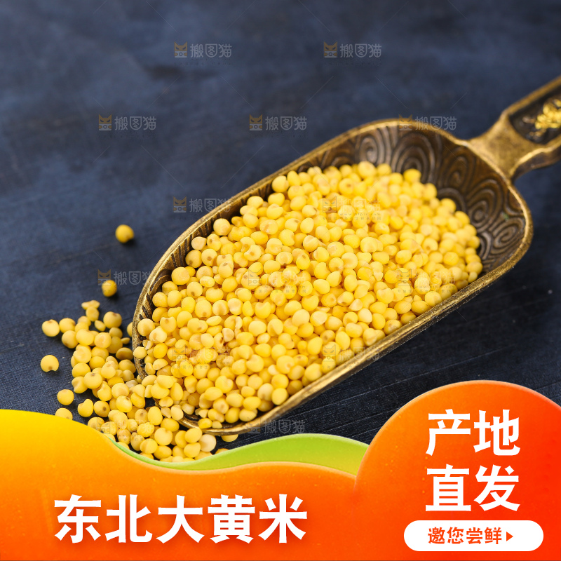 深底上的大黄米