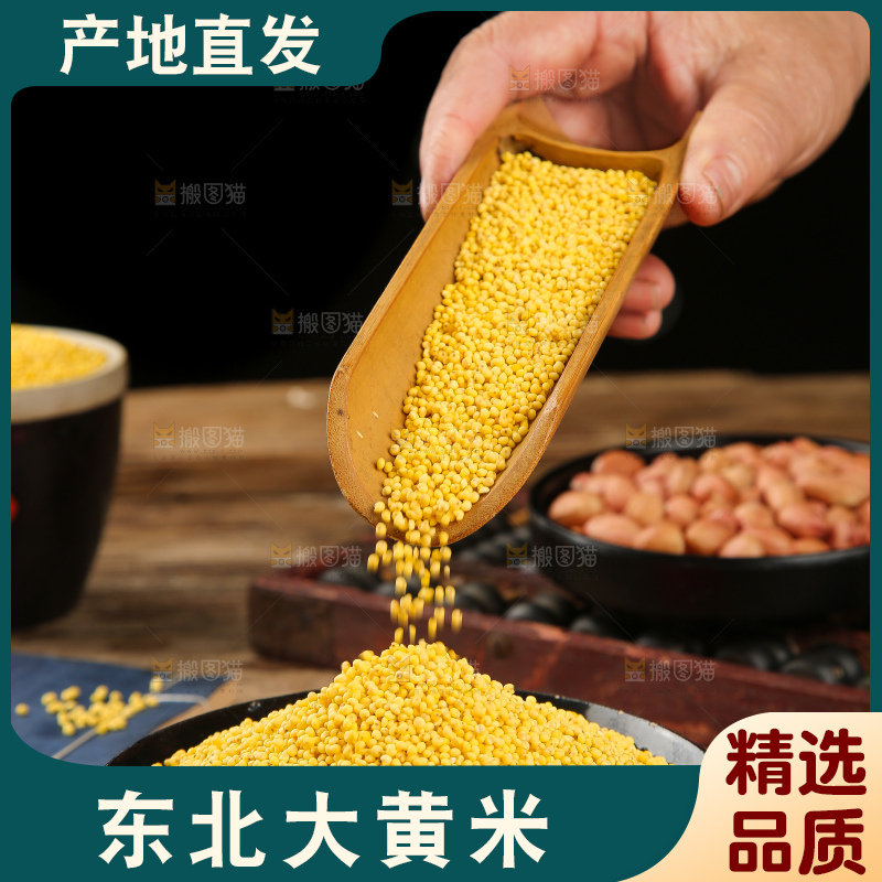 深底上的大黄米