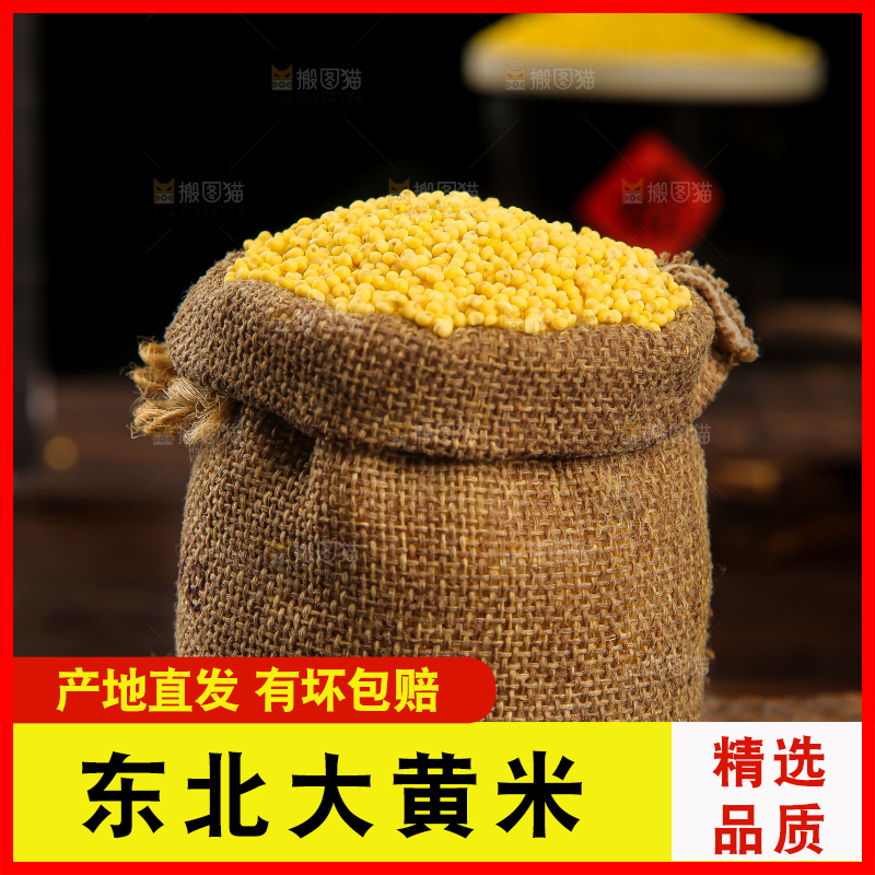 深底上的大黄米