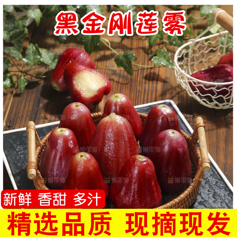 深底上的黑金刚莲雾