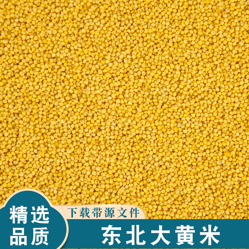 深底上的大黄米