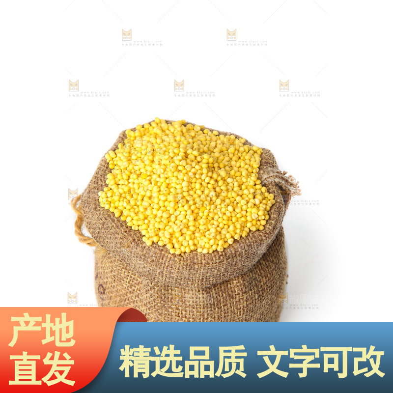 白底上的大黄米