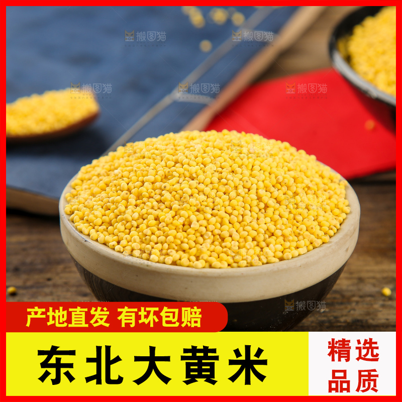深底上的大黄米
