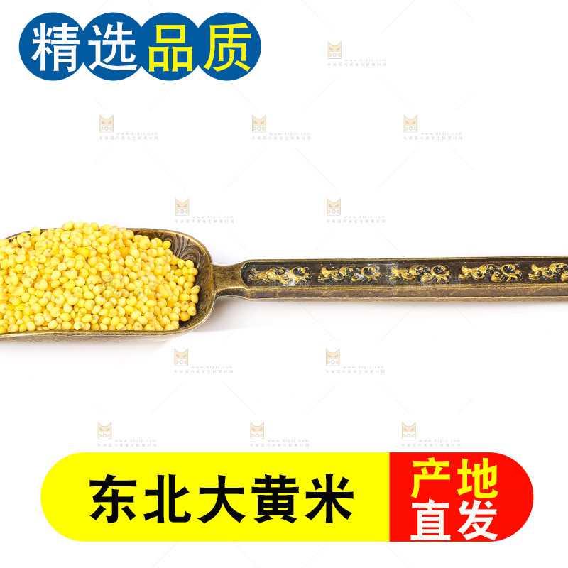 白底上的大黄米
