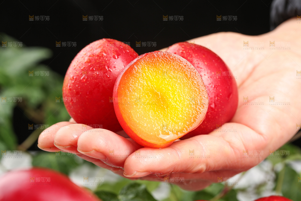 深底上的樱桃李