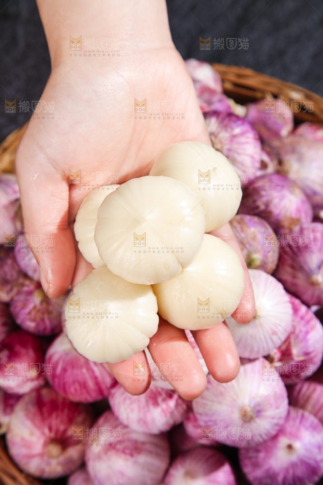 深底上的紫皮独蒜