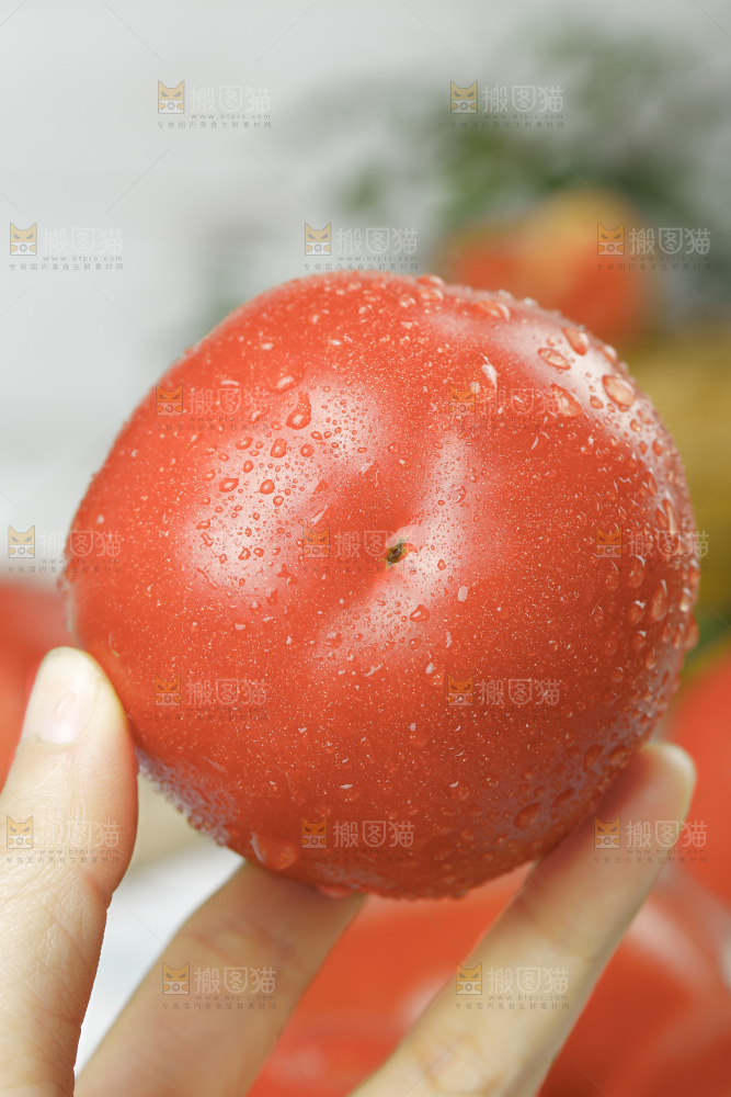浅底上的普罗旺斯西红柿