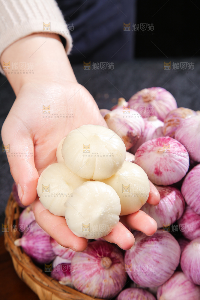 深底上的紫皮独蒜