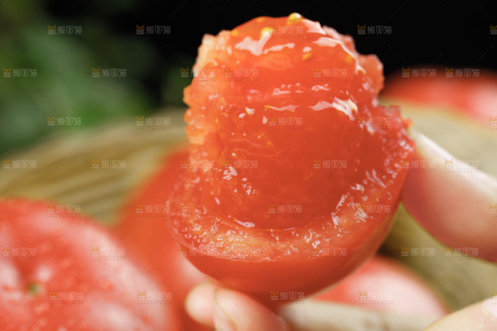 浅底上的普罗旺斯西红柿