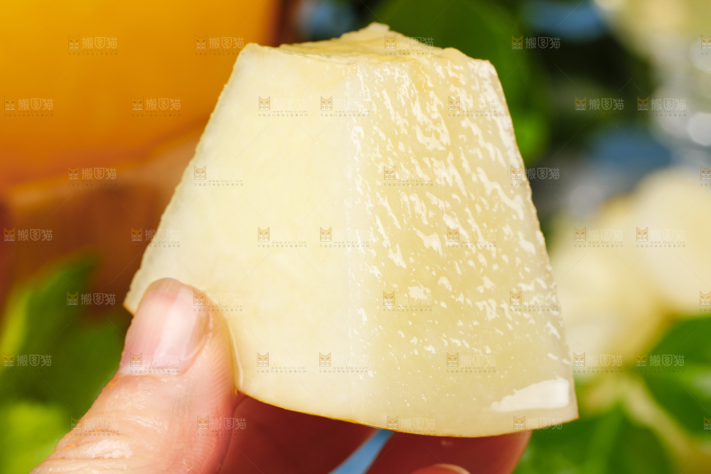 浅底上的黄河蜜瓜