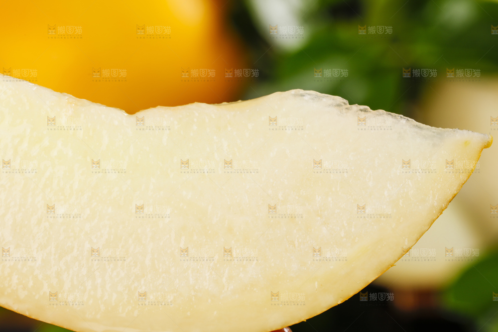 深底上的黄河蜜瓜