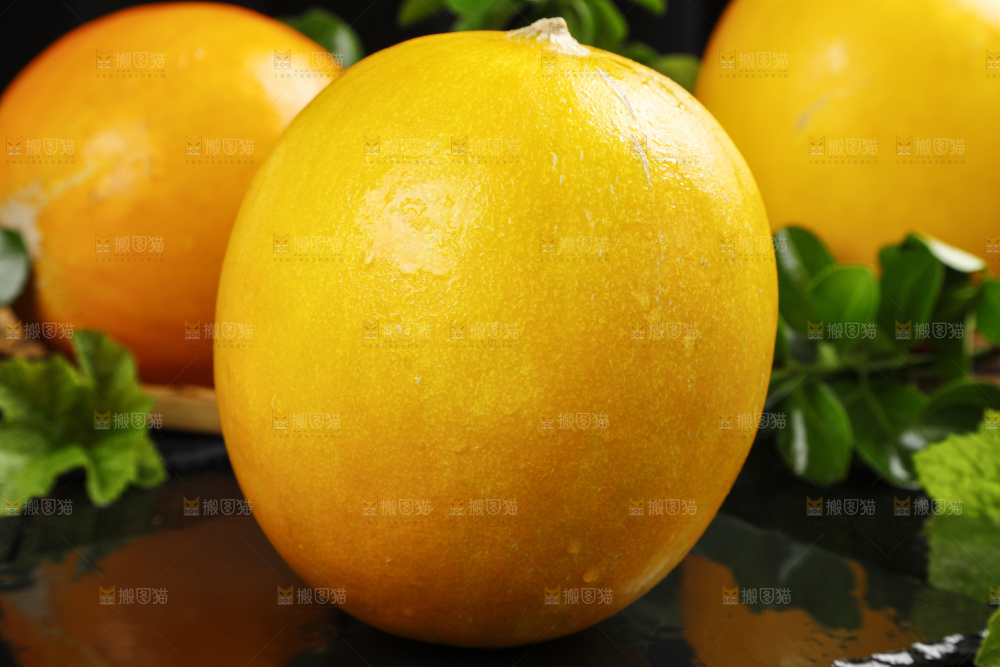 深底上的黄河蜜瓜