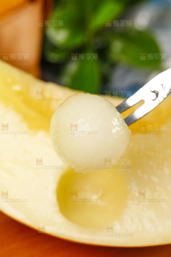 浅底上的黄河蜜瓜