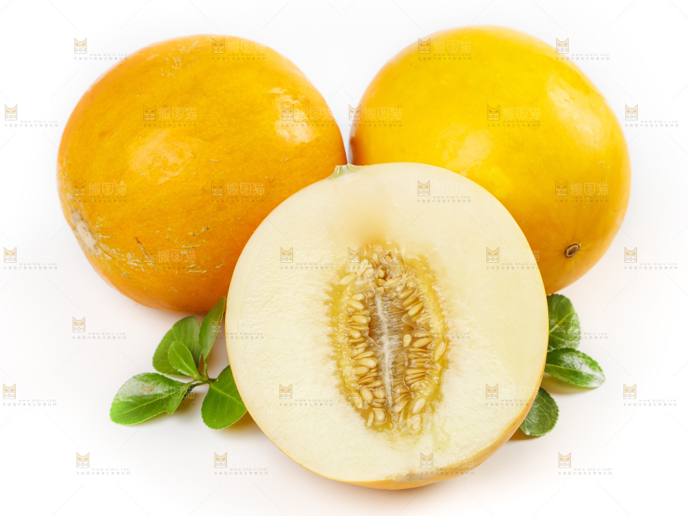 白底上的黄河蜜瓜